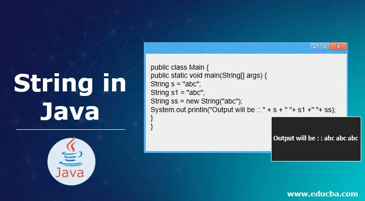 Web-Development Course